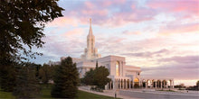Load image into Gallery viewer, Bountiful Pastel Light