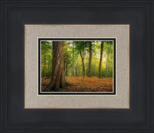 Load image into Gallery viewer, Oh How Lovely was the Morning