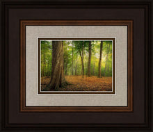 Load image into Gallery viewer, Oh How Lovely was the Morning