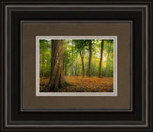Load image into Gallery viewer, Oh How Lovely was the Morning