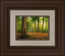 Load image into Gallery viewer, Oh How Lovely was the Morning