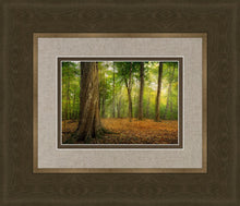 Load image into Gallery viewer, Oh How Lovely was the Morning