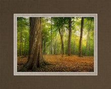 Load image into Gallery viewer, Oh How Lovely was the Morning