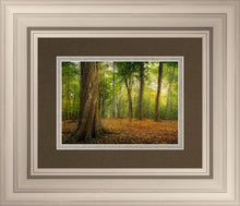 Load image into Gallery viewer, Oh How Lovely was the Morning