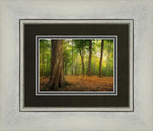 Load image into Gallery viewer, Oh How Lovely was the Morning