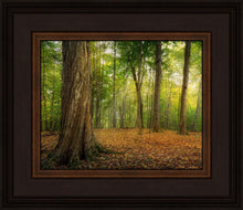 Load image into Gallery viewer, Oh How Lovely was the Morning