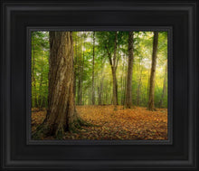 Load image into Gallery viewer, Oh How Lovely was the Morning
