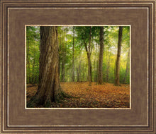 Load image into Gallery viewer, Oh How Lovely was the Morning