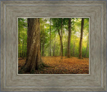 Load image into Gallery viewer, Oh How Lovely was the Morning
