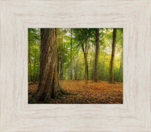 Load image into Gallery viewer, Oh How Lovely was the Morning