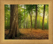 Load image into Gallery viewer, Oh How Lovely was the Morning