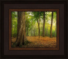 Load image into Gallery viewer, Oh How Lovely was the Morning