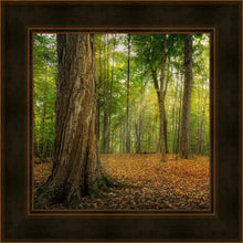 Load image into Gallery viewer, Oh How Lovely was the Morning
