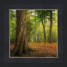 Load image into Gallery viewer, Oh How Lovely was the Morning