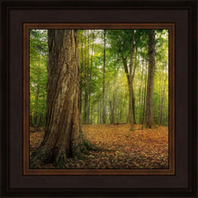 Load image into Gallery viewer, Oh How Lovely was the Morning