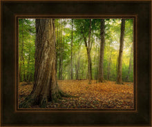Load image into Gallery viewer, Oh How Lovely was the Morning