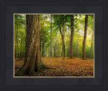 Load image into Gallery viewer, Oh How Lovely was the Morning