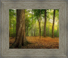 Load image into Gallery viewer, Oh How Lovely was the Morning