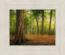Load image into Gallery viewer, Oh How Lovely was the Morning