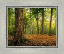 Load image into Gallery viewer, Oh How Lovely was the Morning