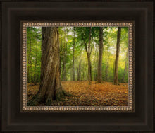 Load image into Gallery viewer, Oh How Lovely was the Morning