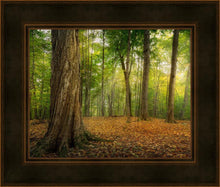 Load image into Gallery viewer, Oh How Lovely was the Morning