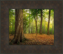 Load image into Gallery viewer, Oh How Lovely was the Morning