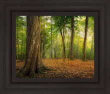 Load image into Gallery viewer, Oh How Lovely was the Morning