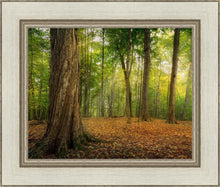 Load image into Gallery viewer, Oh How Lovely was the Morning