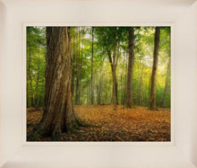 Load image into Gallery viewer, Oh How Lovely was the Morning
