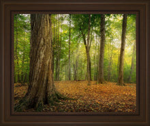 Load image into Gallery viewer, Oh How Lovely was the Morning