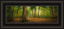 Load image into Gallery viewer, Oh How Lovely was the Morning