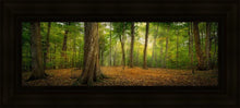 Load image into Gallery viewer, Oh How Lovely was the Morning