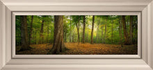 Load image into Gallery viewer, Oh How Lovely was the Morning