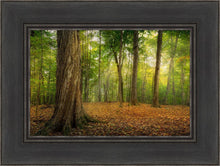 Load image into Gallery viewer, Oh How Lovely was the Morning