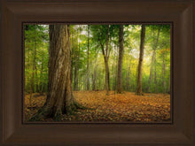 Load image into Gallery viewer, Oh How Lovely was the Morning