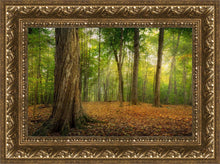 Load image into Gallery viewer, Oh How Lovely was the Morning