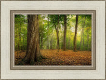 Load image into Gallery viewer, Oh How Lovely was the Morning