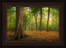 Load image into Gallery viewer, Oh How Lovely was the Morning