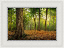 Load image into Gallery viewer, Oh How Lovely was the Morning