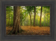 Load image into Gallery viewer, Oh How Lovely was the Morning