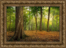 Load image into Gallery viewer, Oh How Lovely was the Morning