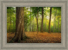 Load image into Gallery viewer, Oh How Lovely was the Morning