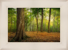 Load image into Gallery viewer, Oh How Lovely was the Morning