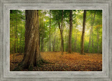 Load image into Gallery viewer, Oh How Lovely was the Morning
