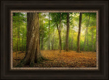 Load image into Gallery viewer, Oh How Lovely was the Morning