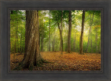 Load image into Gallery viewer, Oh How Lovely was the Morning