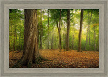 Load image into Gallery viewer, Oh How Lovely was the Morning