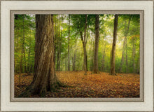 Load image into Gallery viewer, Oh How Lovely was the Morning