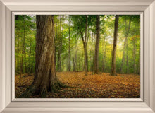 Load image into Gallery viewer, Oh How Lovely was the Morning